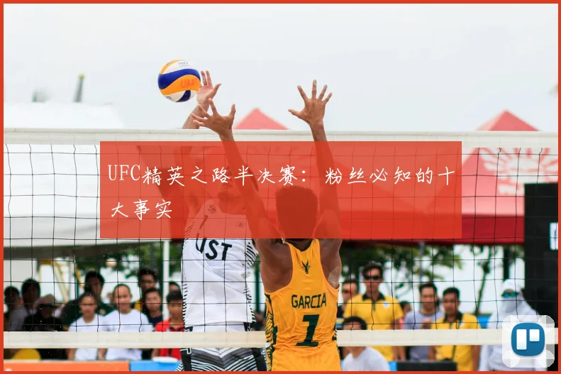 UFC精英之路半决赛:粉丝必知的十大事实