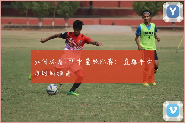如何观看UFC中量级比赛：直播平台与时间指南
