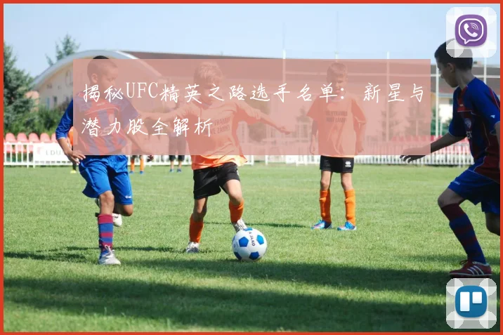 揭秘UFC精英之路选手名单：新星与潜力股全解析