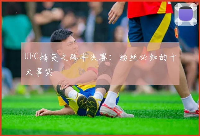 UFC精英之路半决赛：粉丝必知的十大事实