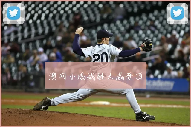澳网小威战胜大威登顶