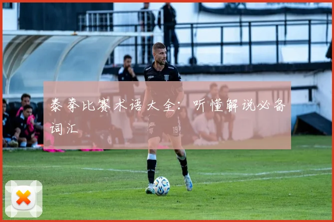 泰拳比赛术语大全：听懂解说必备词汇